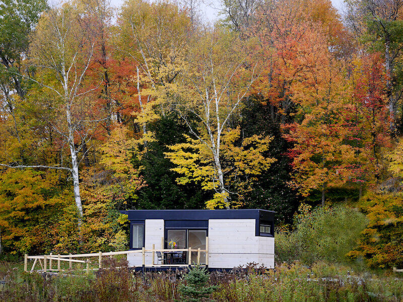 wheelpad in autumn